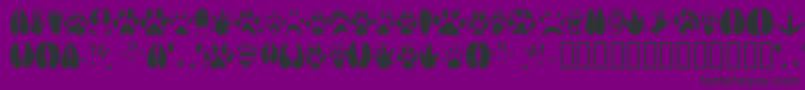 Animaltracks Font – Black Fonts on Purple Background