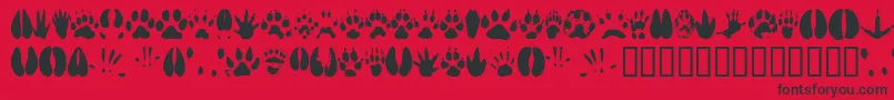 Fonte Animaltracks – fontes pretas em um fundo vermelho