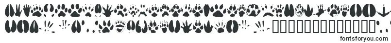 Animaltracks-fontti – Fontit Microsoft Officelle