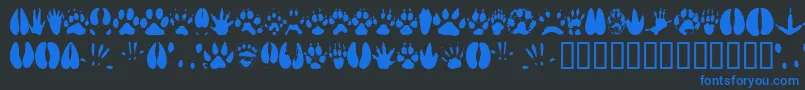 Animaltracks Font – Blue Fonts on Black Background