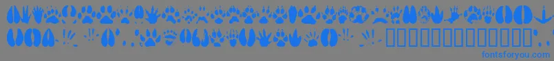 フォントAnimaltracks – 灰色の背景に青い文字