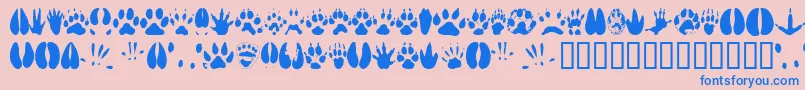 フォントAnimaltracks – ピンクの背景に青い文字