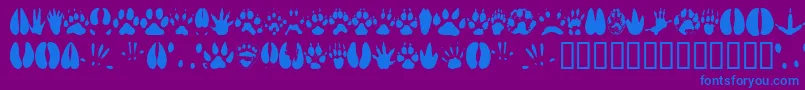 Police Animaltracks – polices bleues sur fond violet