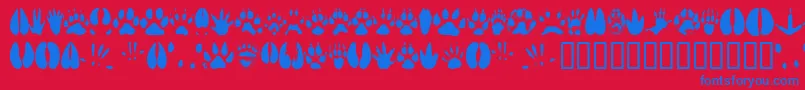 Animaltracks Font – Blue Fonts on Red Background