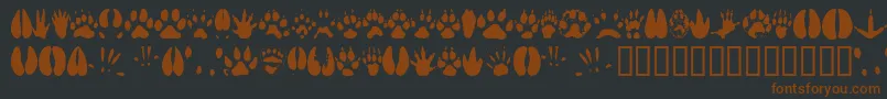 Animaltracks-Schriftart – Braune Schriften auf schwarzem Hintergrund