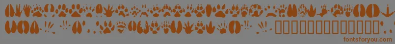 Animaltracks Font – Brown Fonts on Gray Background