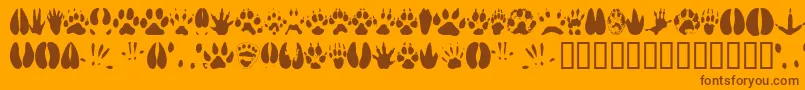 Fonte Animaltracks – fontes marrons em um fundo laranja