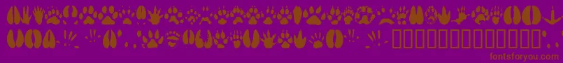 Animaltracks-Schriftart – Braune Schriften auf violettem Hintergrund