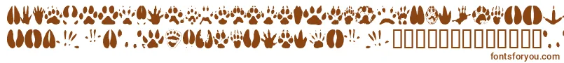 Animaltracks Font – Brown Fonts on White Background