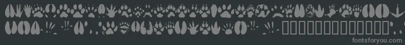 Animaltracks Font – Gray Fonts on Black Background