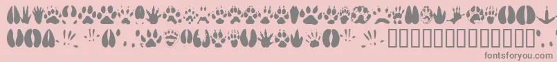 Animaltracks-Schriftart – Graue Schriften auf rosa Hintergrund