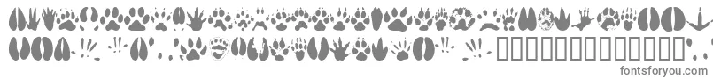 Animaltracks Font – Gray Fonts on White Background