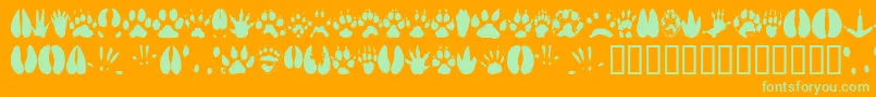 Animaltracks-Schriftart – Grüne Schriften auf orangefarbenem Hintergrund