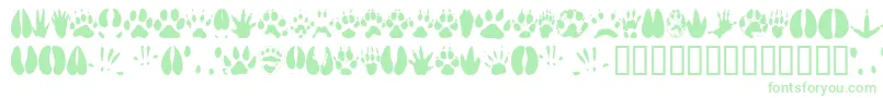 Animaltracks Font – Green Fonts