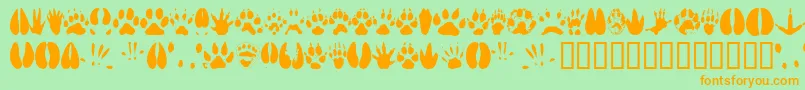 Animaltracks Font – Orange Fonts on Green Background