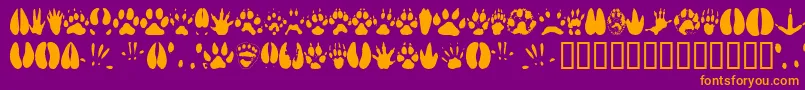 Animaltracks Font – Orange Fonts on Purple Background