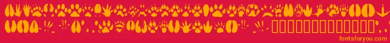 Animaltracks Font – Orange Fonts on Red Background