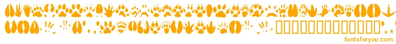 Czcionka Animaltracks – pomarańczowe czcionki