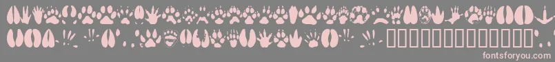 フォントAnimaltracks – 灰色の背景にピンクのフォント