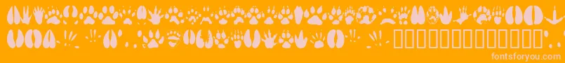 Animaltracks-Schriftart – Rosa Schriften auf orangefarbenem Hintergrund