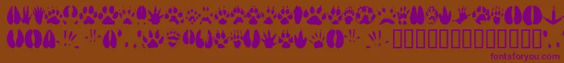 Animaltracks-Schriftart – Violette Schriften auf braunem Hintergrund