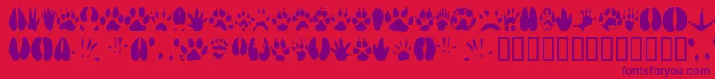 Police Animaltracks – polices violettes sur fond rouge