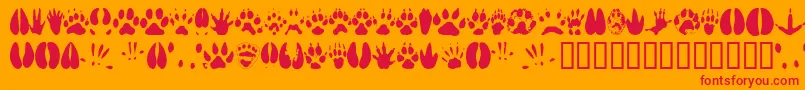 Animaltracks-Schriftart – Rote Schriften auf orangefarbenem Hintergrund