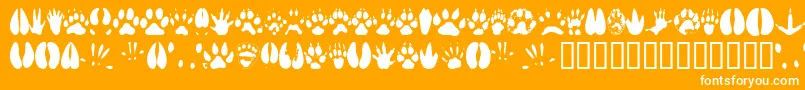 Animaltracks-Schriftart – Weiße Schriften auf orangefarbenem Hintergrund