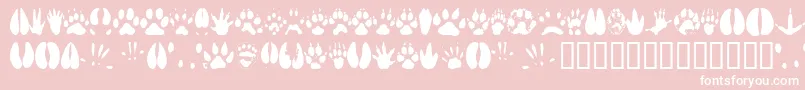 Animaltracks Font – White Fonts on Pink Background