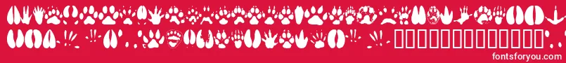 Fonte Animaltracks – fontes brancas em um fundo vermelho