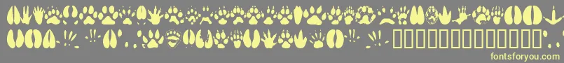 Animaltracks Font – Yellow Fonts on Gray Background