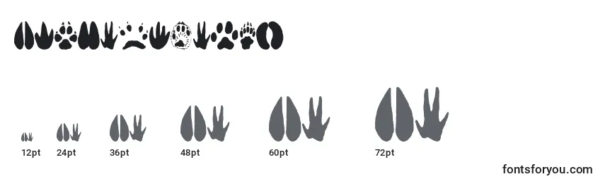 Größen der Schriftart Animaltracks