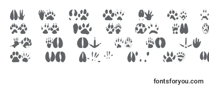 Animaltracks Font