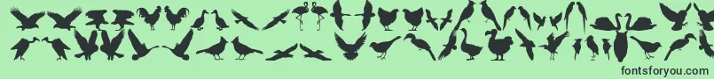 Bfeather11 Font – Black Fonts on Green Background