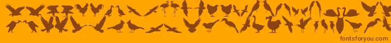 Bfeather11 Font – Brown Fonts on Orange Background