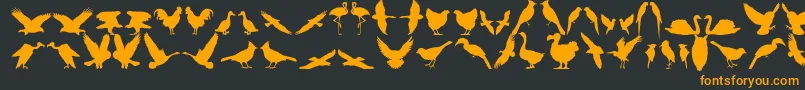 Bfeather11 Font – Orange Fonts on Black Background