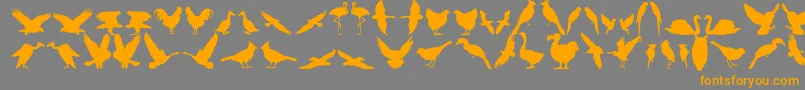 Bfeather11 Font – Orange Fonts on Gray Background
