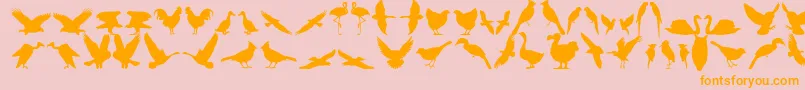 Bfeather11-Schriftart – Orangefarbene Schriften auf rosa Hintergrund
