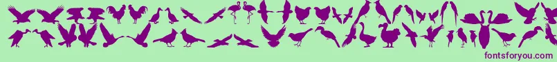 Bfeather11 Font – Purple Fonts on Green Background