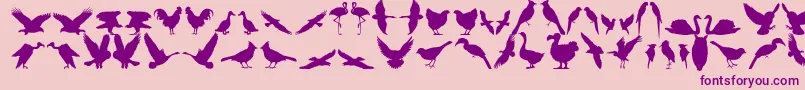 Bfeather11 Font – Purple Fonts on Pink Background
