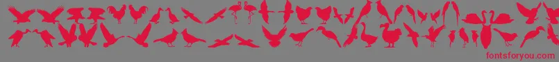 Bfeather11 Font – Red Fonts on Gray Background