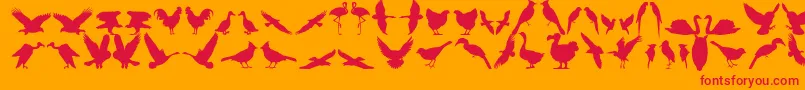 Bfeather11 Font – Red Fonts on Orange Background