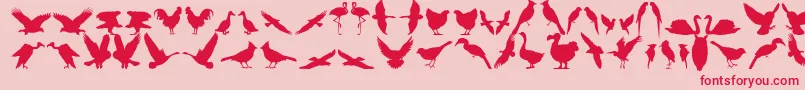 フォントBfeather11 – ピンクの背景に赤い文字