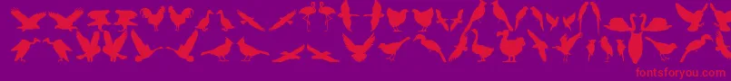 Bfeather11 Font – Red Fonts on Purple Background