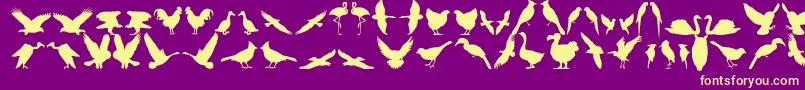 Bfeather11 Font – Yellow Fonts on Purple Background