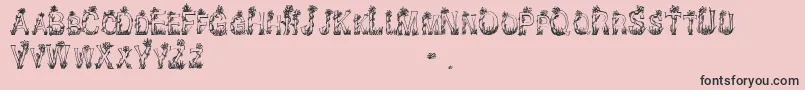 CfplantsandflowersRegular Font – Black Fonts on Pink Background