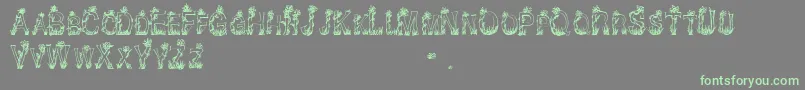 CfplantsandflowersRegular Font – Green Fonts on Gray Background