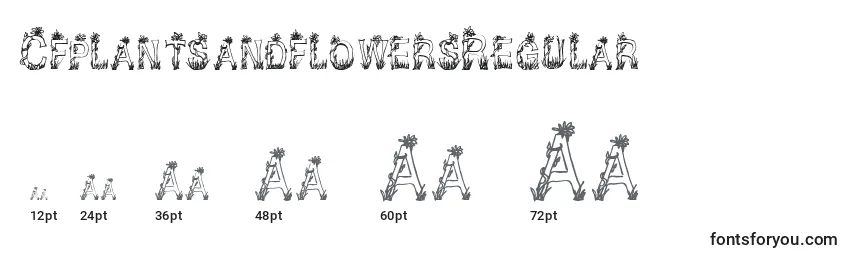 Размеры шрифта CfplantsandflowersRegular