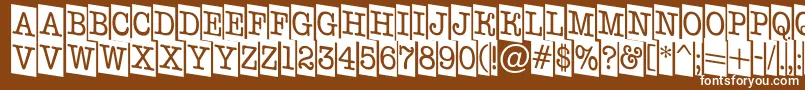 AOldtypernrcmdn Font – White Fonts on Brown Background