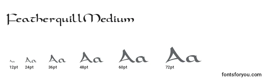 FeatherquillMedium font sizes